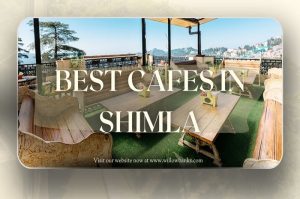 People relaxing at a scenic café in Shimla surrounded by pine trees and hills.