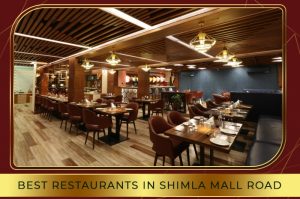 Diners enjoying meals at a popular restaurant on Shimla Mall Road with cozy interiors and mountain views.