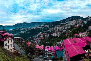 Scenic view of a decorated outdoor wedding setup in Shimla surrounded by lush pine trees and misty mountains.