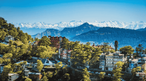 Luxurious hotel in Shimla with scenic mountain views and premium stay