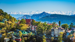 Best Places to Eat in Shimla with cozy dining ambiance