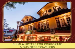 Corporate business in Shimla hotel with meeting room and modern amenities