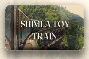 Shimla Toy Train crossing a curved bridge amid scenic mountains