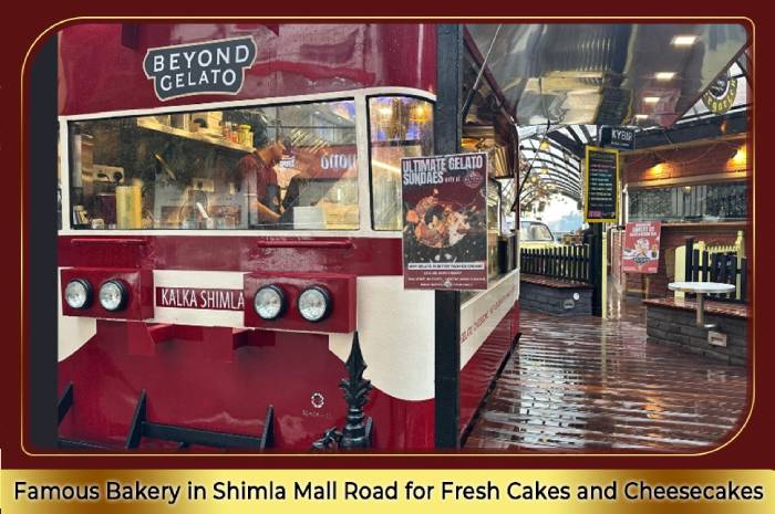 Famous Bakery in Shimla Mall Road for Fresh Cakes and Cheesecakes