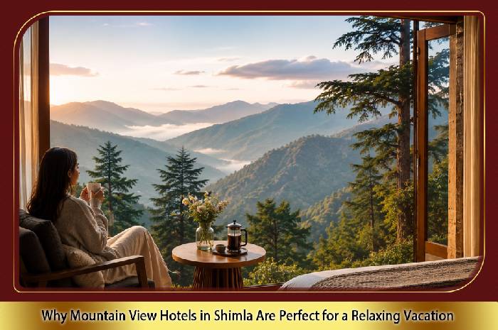 Why Mountain View Hotels in Shimla Are Perfect for a Relaxing Vacation