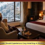 Why Every Traveler Should Experience a Cozy Hotel Stay in Shimla During Winte